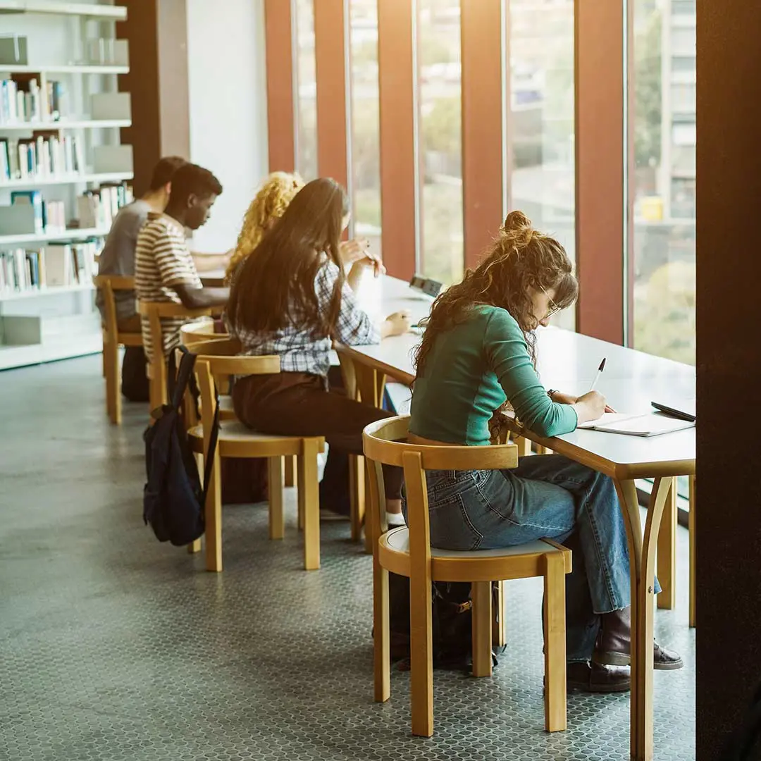 Leitfaden zur Studienorganisation